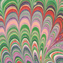 Multi-colored Marbled Feathers Print Italian Paper ~ Tassotti